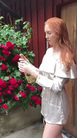 gif photo view